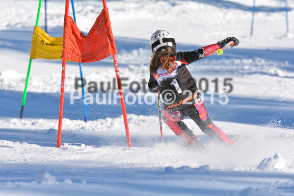 Ziener Cup Finale 2015