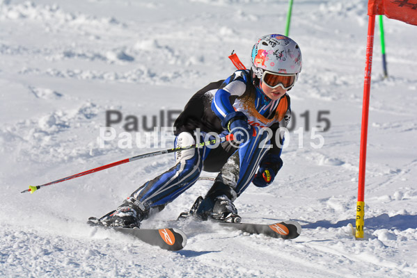 Ziener Cup Finale 2015