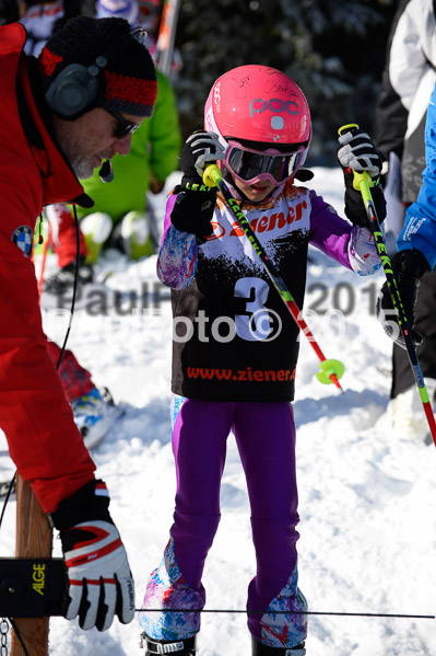 Ziener Cup Finale 2015