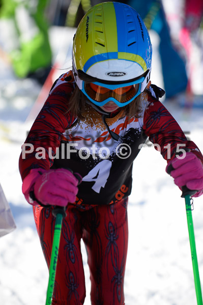 Ziener Cup Finale 2015