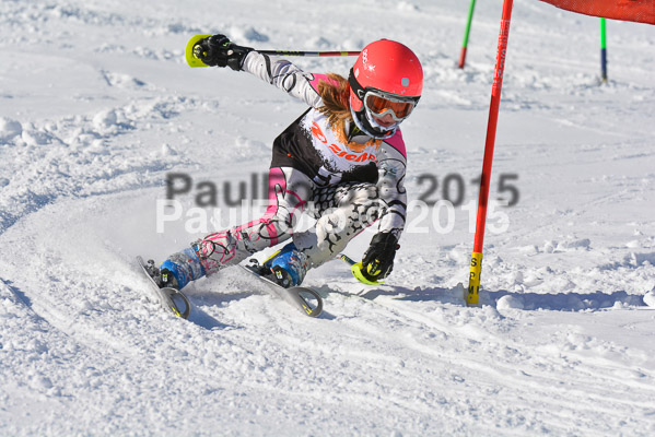 Ziener Cup Finale 2015