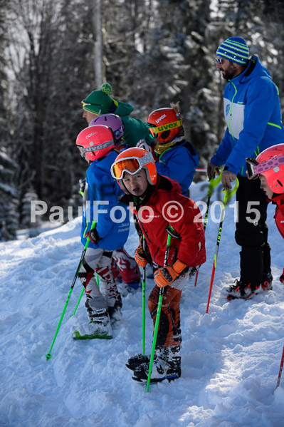 Ziener Cup Finale 2015