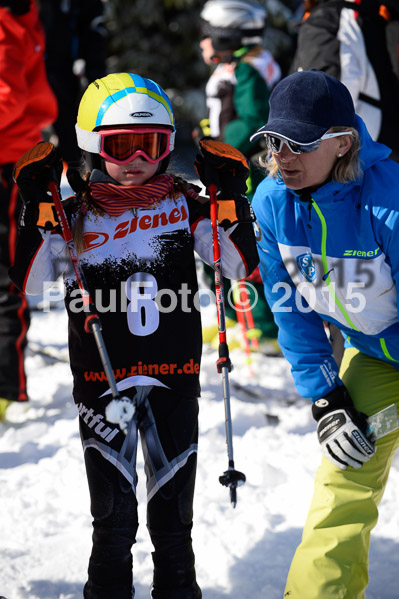 Ziener Cup Finale 2015