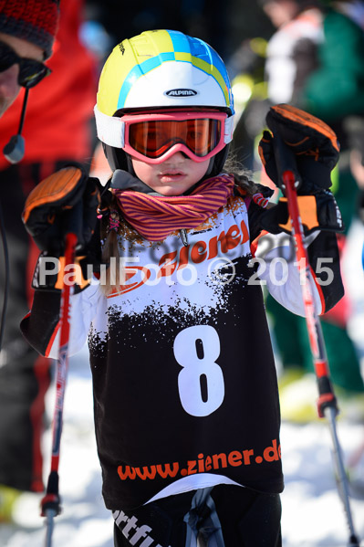 Ziener Cup Finale 2015