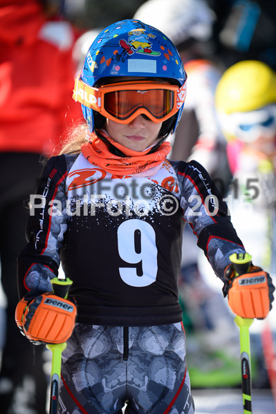 Ziener Cup Finale 2015