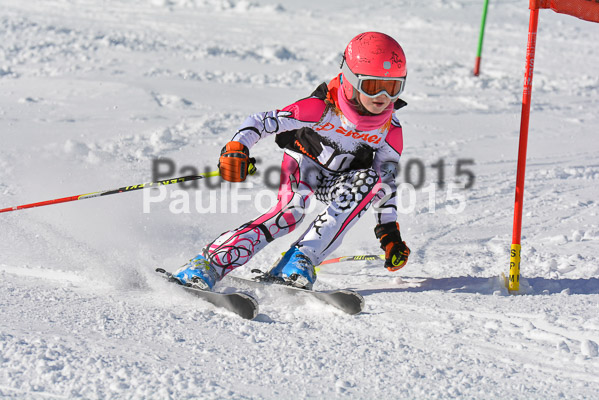 Ziener Cup Finale 2015