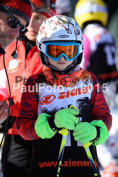 Ziener Cup Finale 2015