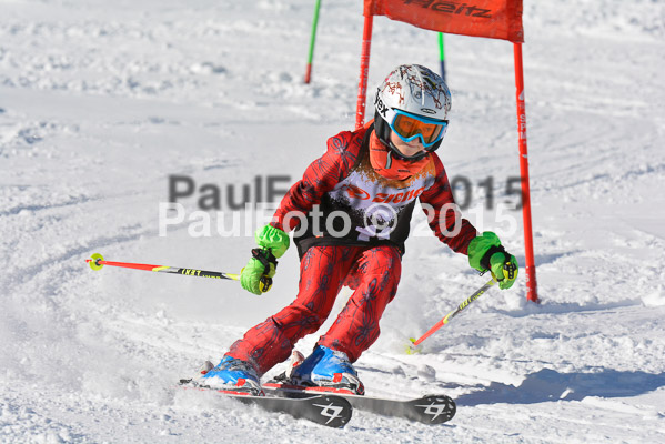 Ziener Cup Finale 2015