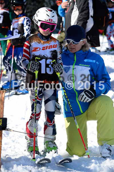 Ziener Cup Finale 2015