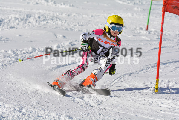 Ziener Cup Finale 2015