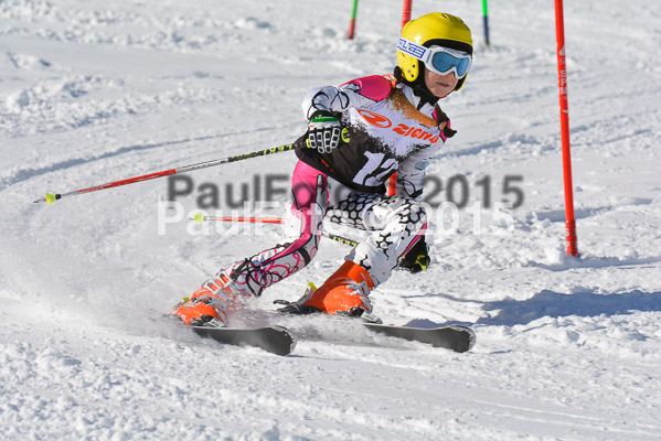 Ziener Cup Finale 2015