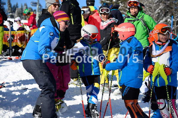 Ziener Cup Finale 2015