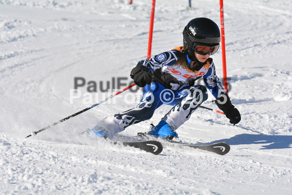 Ziener Cup Finale 2015