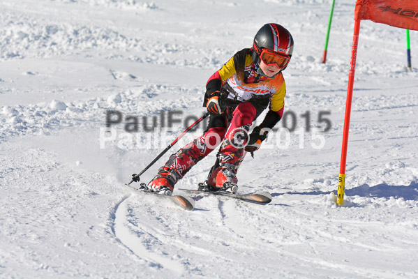 Ziener Cup Finale 2015