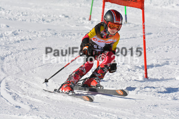 Ziener Cup Finale 2015