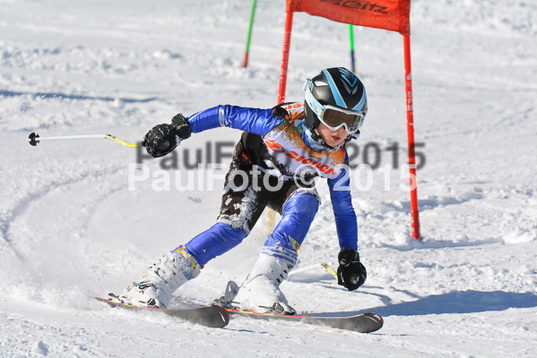 Ziener Cup Finale 2015