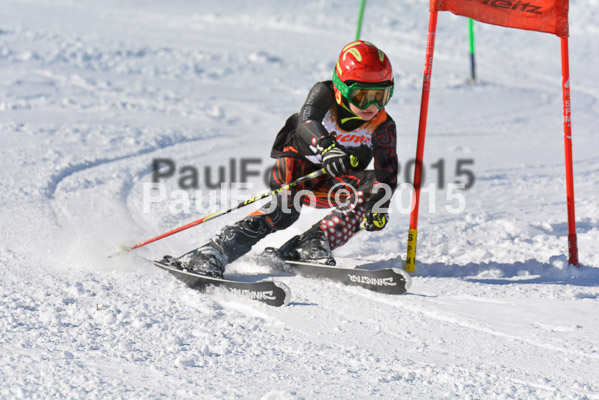 Ziener Cup Finale 2015