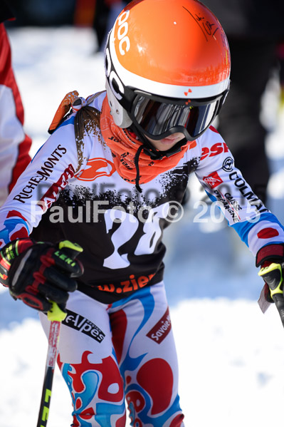 Ziener Cup Finale 2015