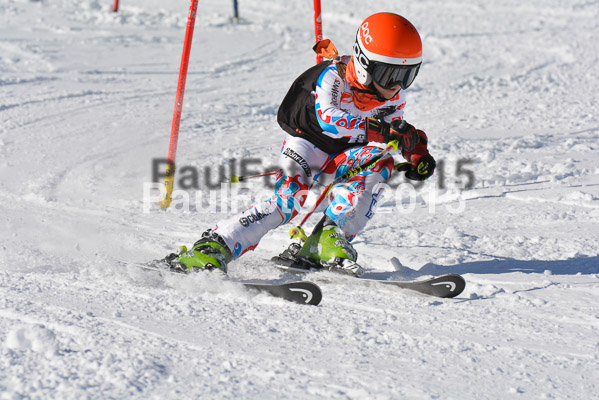 Ziener Cup Finale 2015