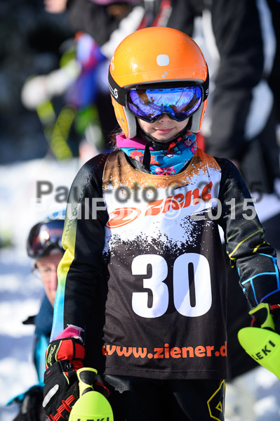 Ziener Cup Finale 2015