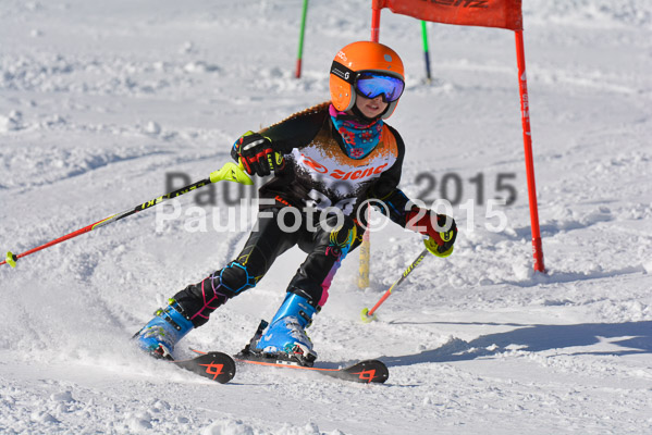 Ziener Cup Finale 2015