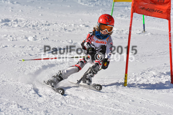 Ziener Cup Finale 2015