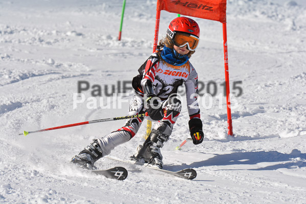 Ziener Cup Finale 2015