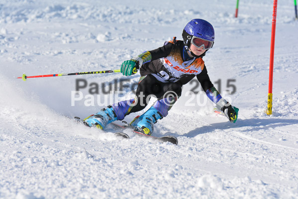 Ziener Cup Finale 2015