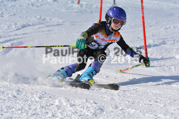 Ziener Cup Finale 2015