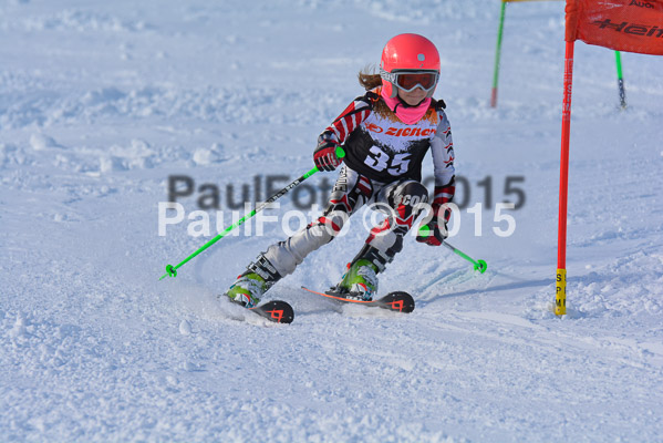 Ziener Cup Finale 2015