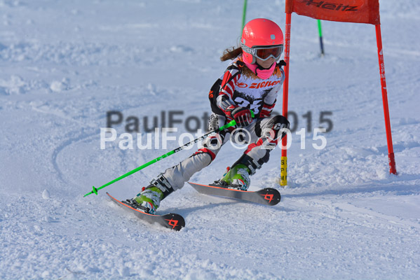 Ziener Cup Finale 2015
