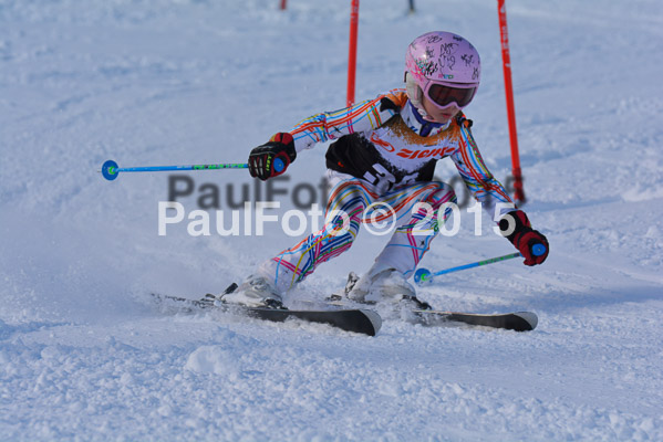 Ziener Cup Finale 2015