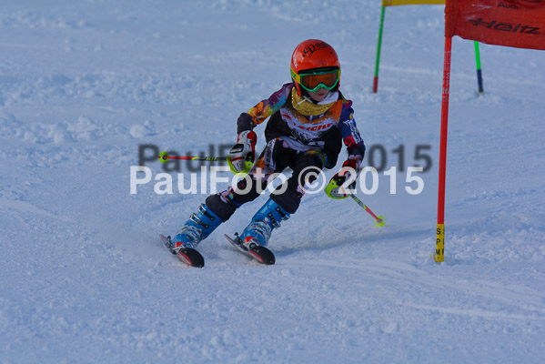 Ziener Cup Finale 2015