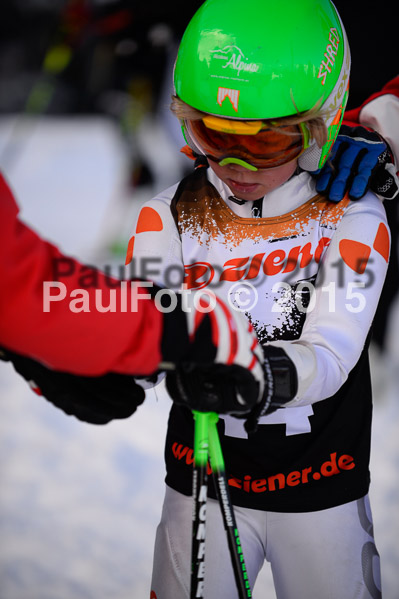 Ziener Cup Finale 2015