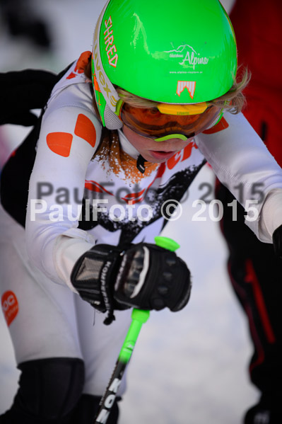 Ziener Cup Finale 2015