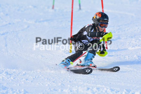 Ziener Cup Finale 2015