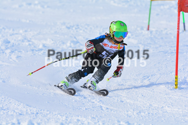 Ziener Cup Finale 2015