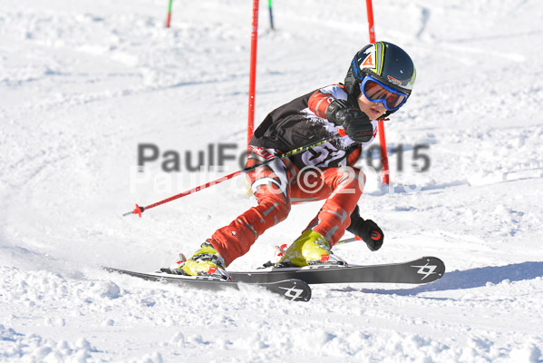 Ziener Cup Finale 2015