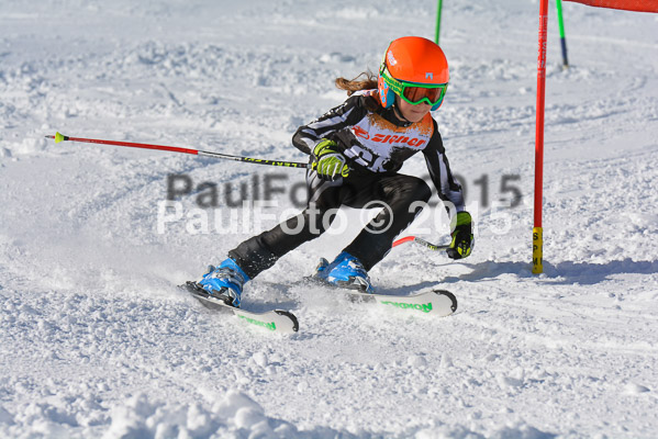 Ziener Cup Finale 2015