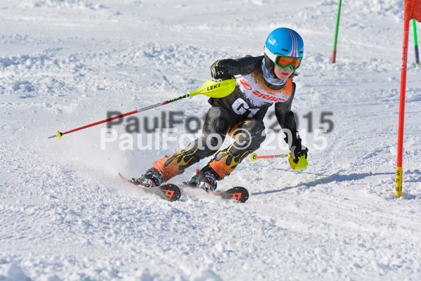 Ziener Cup Finale 2015