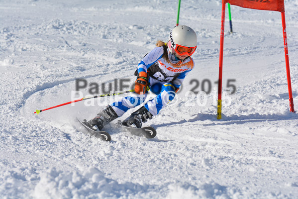 Ziener Cup Finale 2015