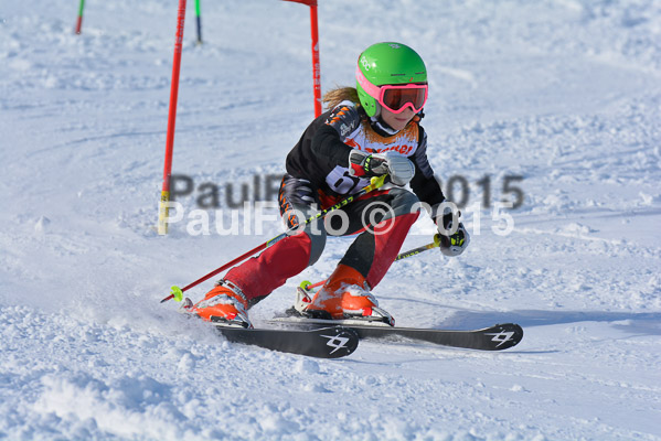 Ziener Cup Finale 2015