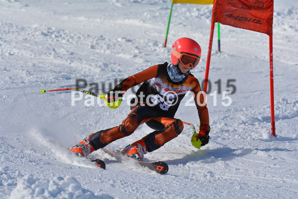 Ziener Cup Finale 2015