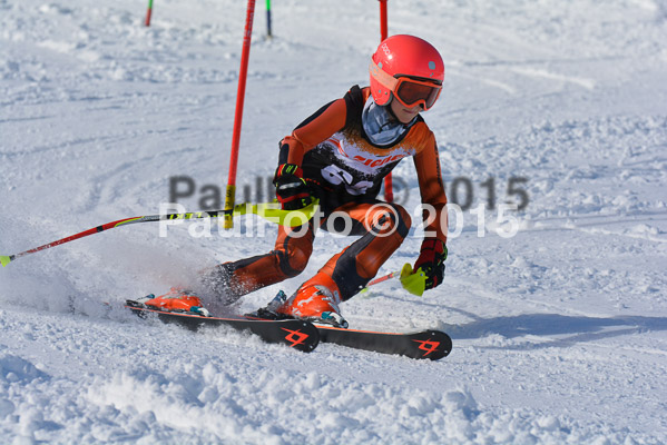 Ziener Cup Finale 2015