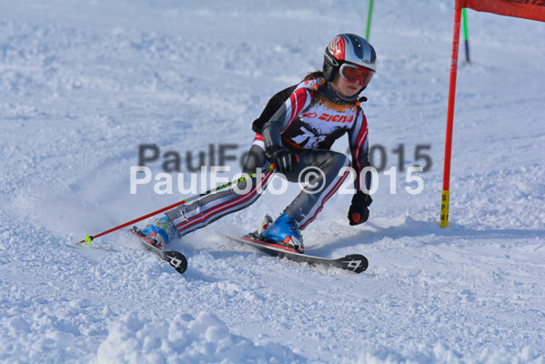 Ziener Cup Finale 2015