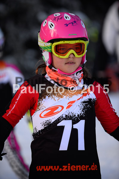 Ziener Cup Finale 2015