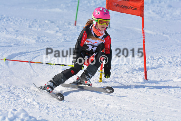 Ziener Cup Finale 2015