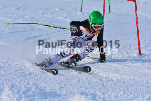 Ziener Cup Finale 2015