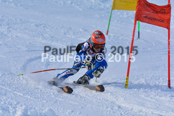 Ziener Cup Finale 2015