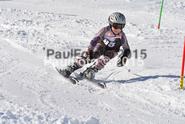 Ziener Cup Finale 2015